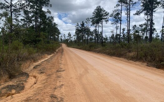 9.88 acres with cool spring in Mountain Pine Ridge, 15 minutes drive from San Ignacio