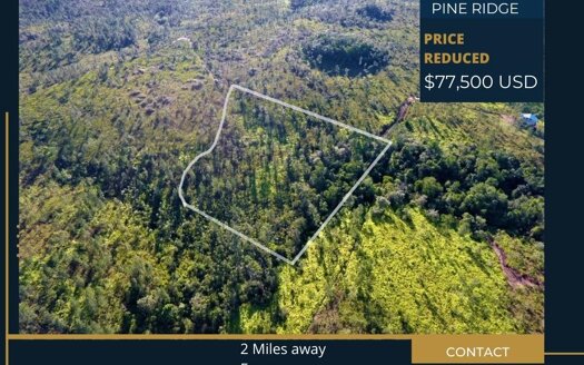 Mountain Pine Ridge Size : 7.556 Acres Price: $77,500 USD