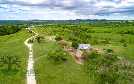 Spread over 425 acres consisting of rolling hills, lush pastureland, and verdant jungle, this picturesque ranch makes an exceptional real estate investment.