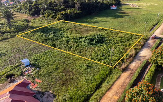 1 Acre Residential Land in Cohune Walk, Belmopan