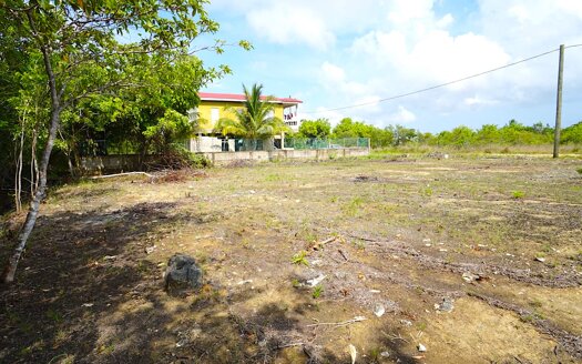 Residential Lot for Sale in Los Lagos