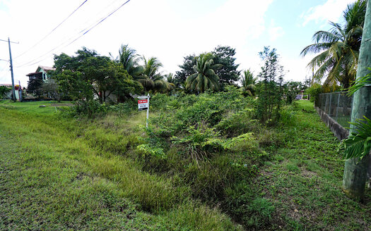 Prime Residential Lot for Sale near the US Embassy Housing Compound in Belmopan