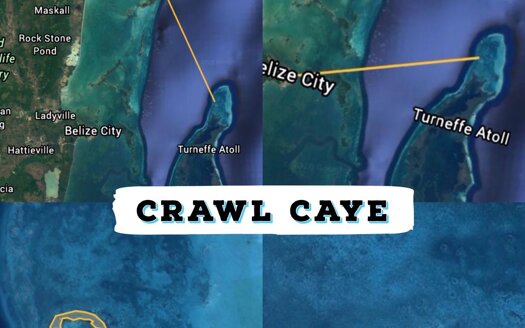 Lovely Crawl Caye Island