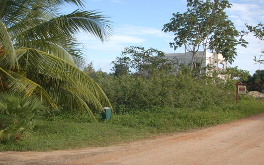 L433 – Residential Beach Lot in Caribbean Way, Placencia Peninsula