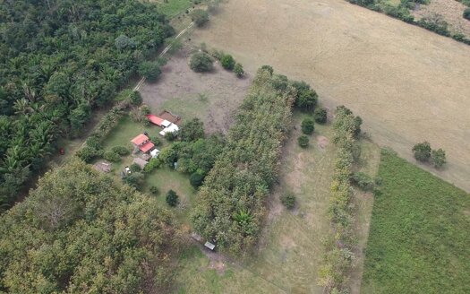 Turnkey profitable Farm with House, ponds, creek, partially fenced, 30 minutes drive from Spanish Lookout Operational Business