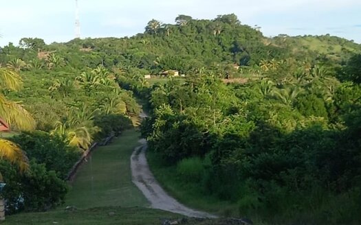 3.5 acres on Taiwanese Rd, Belmopan, Belize