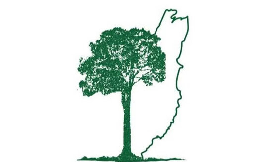 Green Real Estate Belize